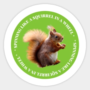 spinning like a squirrel in wheel Sticker